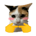 MemeCat (@thememecathq) Twitter profile photo MemeCat (@thememecathq) Twitter profile photo
