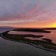 Shane54321Shane's profile picture. 