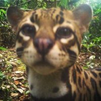 lis⁷ (@fatheremjayy) 's Twitter Profile