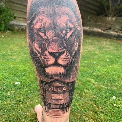 scraggyp's profile picture. Family / Villa / Grafter