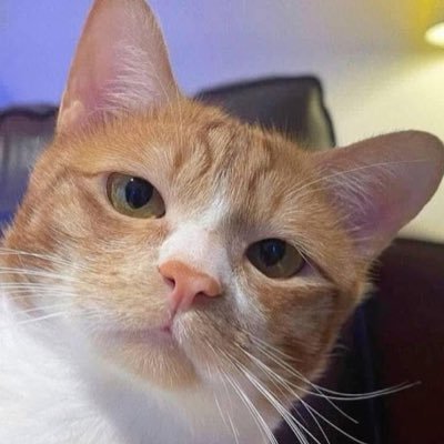 onlynikka_'s profile picture. 