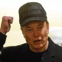 PRIVATELYELONMUSK (@privateelon52) 's Twitter Profile