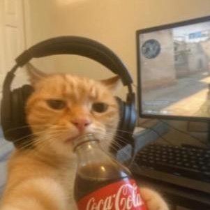 Bruno_real2's profile picture. 👍