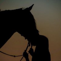 ملكه الصمت (@faxakucolap) 's Twitter Profile