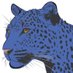 Noah Figueroa (@noahfigueroact) Twitter profile photo Noah Figueroa (@noahfigueroact) Twitter profile photo