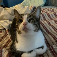 Asher/Tim :3 (@schenectady_tim) 's Twitter Profile
