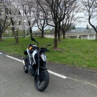 シューへー (@390duke_syuuuu) Twitter profile photo