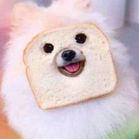 ArkMidy (@arkmidy) 's Twitter Profile Photo ArkMidy (@arkmidy) 's Twitter Profile Photo