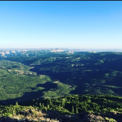 Levi_Klump's profile picture. Investing in myself. Staying relentless.