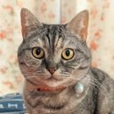 Catherine Morel - @MorelCathe90127 - Twitter