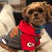Brett (@mahomes_goat86) Twitter profile photo Brett (@mahomes_goat86) Twitter profile photo
