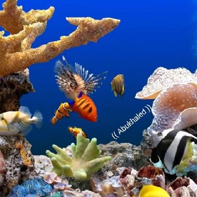 ✍دع الأيام تفعل ماتشاء،، وطب نفسآ إذاحكم القضاء⚡