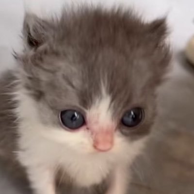 slimekoi but priv | this is p much a diary | moots only | content warning | 90% chance someone will hate me for this