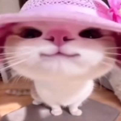 fukat0ru's profile picture. std 30 lmtd 6 wp 25