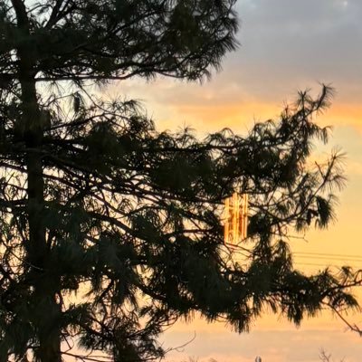 userheall's profile picture. 🇩🇿