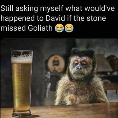 ssfauna's profile picture. #LowkeyLifeAssassin..|| @arsenal
#VibesCentral! #AnimalKingdom!