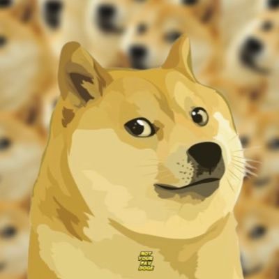 Most unloved doge. https://t.co/XElnFwEu0Z