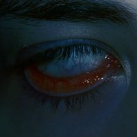 𝐄𝐘𝐄𝐒 (@eyes4dinner) 's Twitter Profile