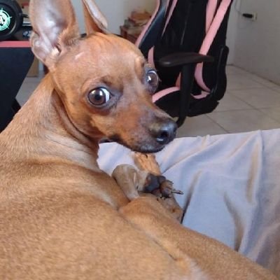 Aos15C82575's profile picture. 