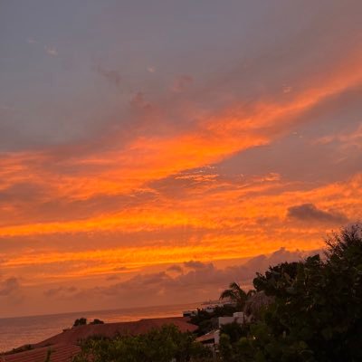 Vvanengelen's profile picture. 