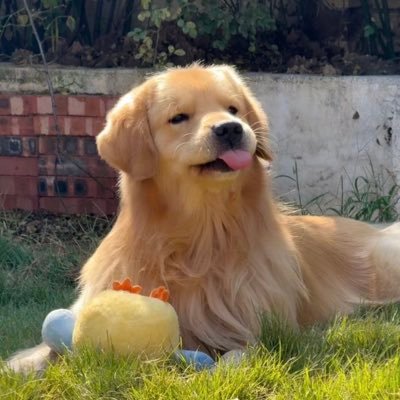 RerKooN's profile picture. 