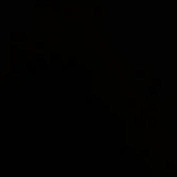 seajewllys's profile picture. free to unfoll