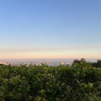 jesmperez's profile picture. 