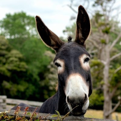 FrankRong5's profile picture. Mr. Nobody. Not so much technical. Market moves on the anticipation of events and subsequent winding down of the anticipation, we can profit from over-reaction.
