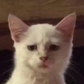 monnii_mot's profile picture. 🔖🎠🫧