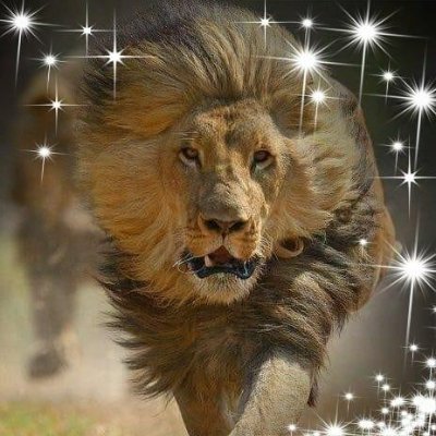 BarryDrury1957's profile picture. From Alberta hoping to become the 51st State. BIG Trump supporter.