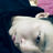 danfollow's profile image