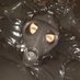 RubberWorkXXX (@rubberworkxxx) Twitter profile photo RubberWorkXXX (@rubberworkxxx) Twitter profile photo