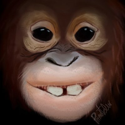 chimpanzee_time's profile picture. primate enthusiast! pfp by the lovely primateluvr!!!!! | also on @digitalsshark
