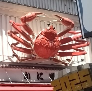 BOXINGOKINAWA's profile picture. ボクシング好き！この時代に生きてて良かったと心底思える
寺地挙四朗選手の大ファン
よしもと新喜劇好き
ラジオ好き
関西好き
来世は関西人として輪廻転生することを希望している30代