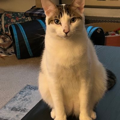 editdroid3's profile picture. 