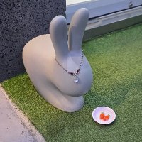 남남수수학학원원장장기기증증서서명명단단체체결결사사 (@chx_scr) 's Twitter Profile