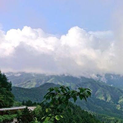 檸檬さんのプロフィール画像