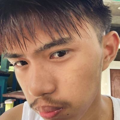 rszl_swft's profile picture. I love you It's ruining my life