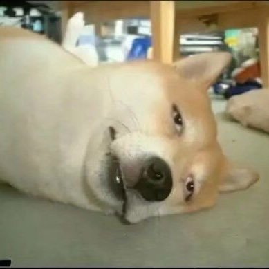 MTosiy's profile picture. お乳首獄門同好会                                                 https://t.co/Y7b0Oo3Zvc