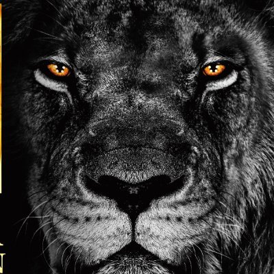 Jupiter_Mi1226's profile picture. 静岡県浜松市にあります。
採用についてはこちら➡https://t.co/yo8Hbnjl1f
無言フォロー失礼致します。
(※シン君はジュピター千代田店に旅立ちました)
#ぱちんこ #ぱちんこ静岡 #ぱちんこ浜松 #ジュピター