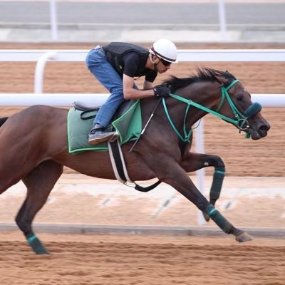 عاشق وهاوي ومحب لرياضة الفروسية والسباقات / مساعد مدرب في عالم سباقات الخيل