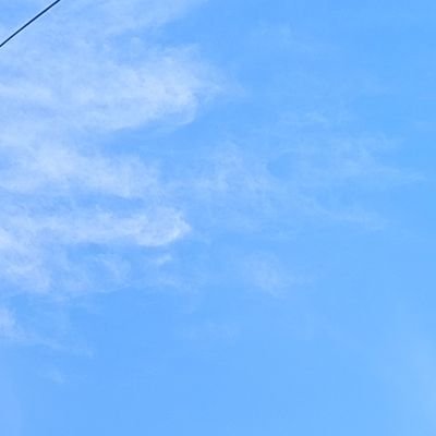 🥟さんのプロフィール画像