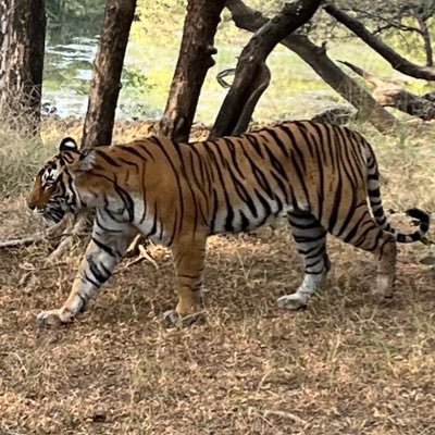 starsam111's profile picture. V r Indian. WORK HARD,PLAY HARDER.