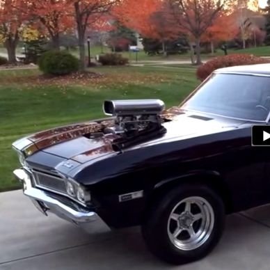 guy_chevelle69's profile picture. Classic muscle cars are my jam. American made all day long. 🇺🇸🇺🇸