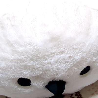 insideoffl37947's profile picture. 