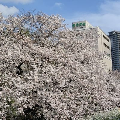 josyohonjin's profile picture. 常勝関西⇒本陣東京⇒R７年故郷の関西へ。X初心者🔰です💦