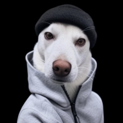 Cauli_nikki's profile picture. “to know who rules over you , see who you not allowed to criticize. “  the noticing will continue 🧃