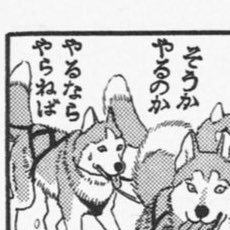 MitiW228060's profile picture. 