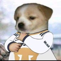 Pumas UNAM Shitposting (@pumas_shitpost) 's Twitter Profile