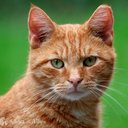 Rena Fishman - @Rena_Fishman_R - Twitter